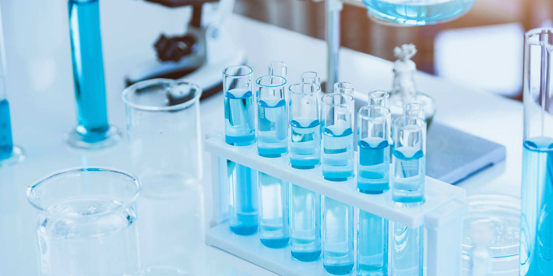 Ascent Petrochem Holdings Co., Limited