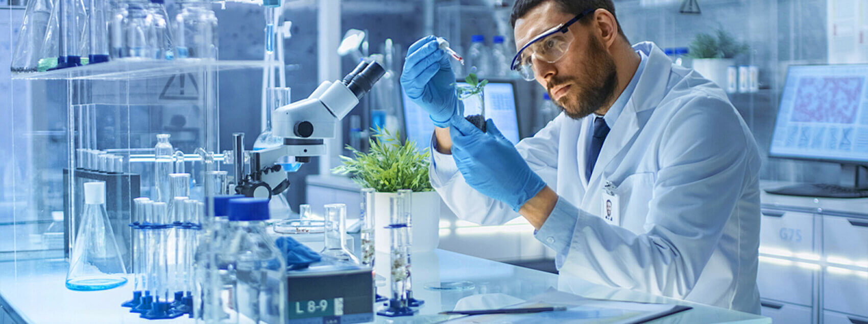 Ascent Petrochem Holdings Co., Limited